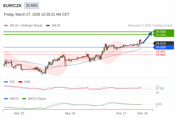 การกำหนดค่าเป็นบวก