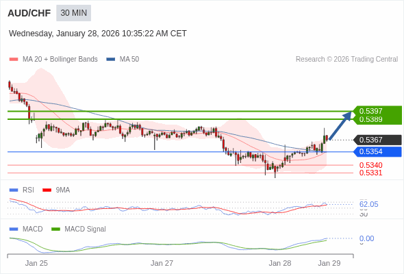 การกำหนดค่าเป็นบวก