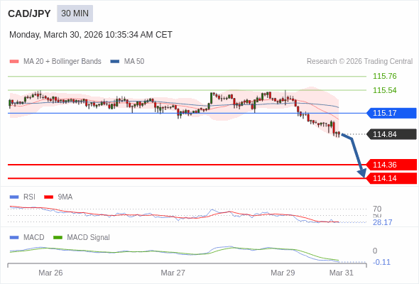 배치가 부정적입니다.