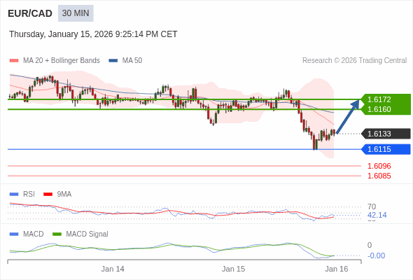 การกำหนดค่าเป็นแบบผสม