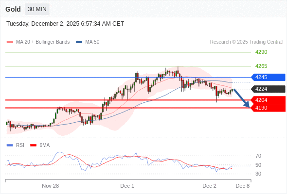 Posiciones cortas debajo de 4245 con objetivos en 4204 y 4190 en extensión.