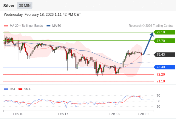 在 73.40 之上,看涨,目标价位为 77.70 ,然后为 79.10 。