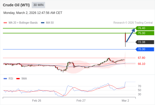 Minyak Mentah (WTI) mungkin naik ke 75,00 - 76,40.
