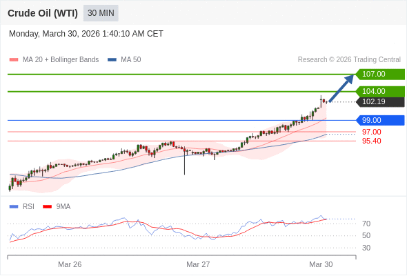 Minyak Mentah (WTI) mungkin naik ke 104,00-107,00.