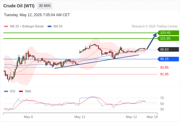 Crude Oil (WTI) may rise to 101.85 - 103.40.