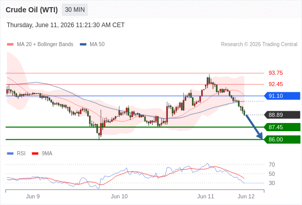 美国原油 (WTI) 期货 (N6)