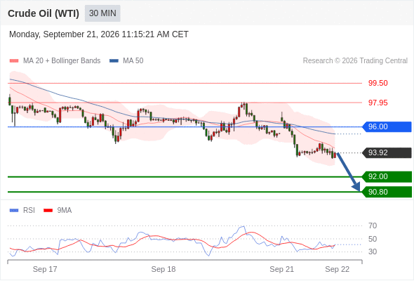 美国原油 (WTI) 期货 (X6)