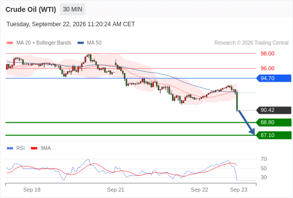 美国原油 (WTI) 期货 (X6)