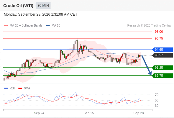美国原油 (WTI) 期货 (X6)