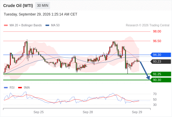 美国原油 (WTI) 期货 (X6)