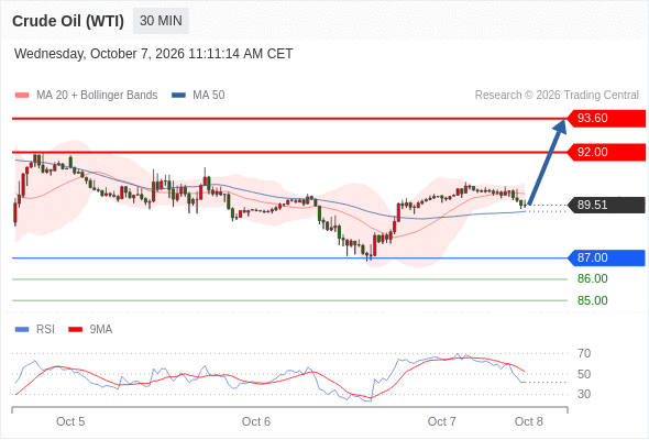 美国原油 (WTI) 期货 (X6)