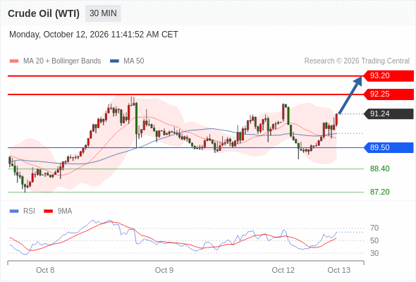 美国原油 (WTI) 期货 (Z6)
