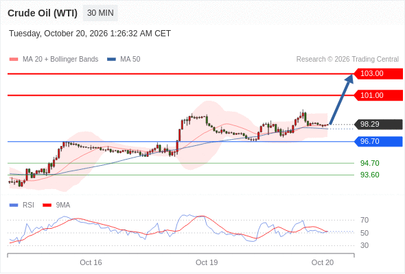 美国原油 (WTI) 期货 (Z6)