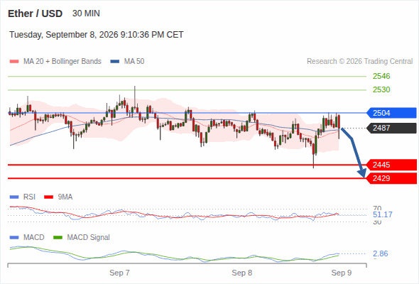 The downside prevails as long as 2,504 is resistance, with 2,445 and 2,429 as targets