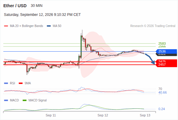 The downside prevails as long as 2,536 is resistance, with 2,475 and 2,457 as targets