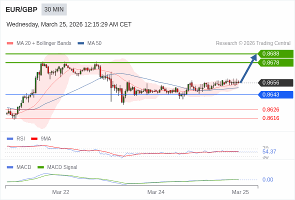 Die Preise könnten kurzfristig wieder zurückgehen.