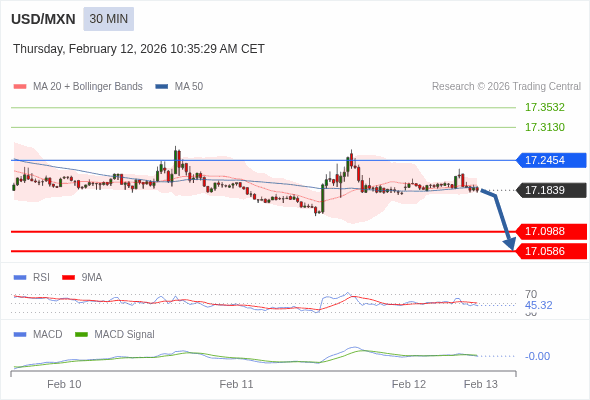 การกำหนดค่าเป็นลบ