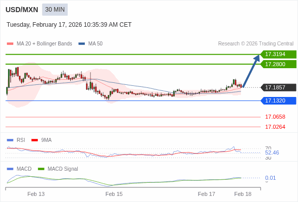 การกำหนดค่าเป็นบวก