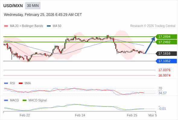 การกำหนดค่าเป็นแบบผสม