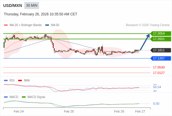 การกำหนดค่าเป็นบวก