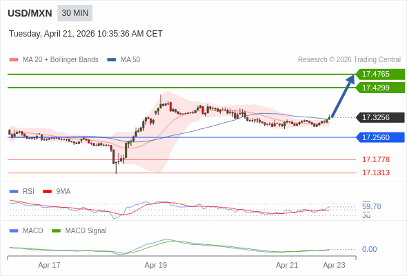การกำหนดค่าเป็นบวก