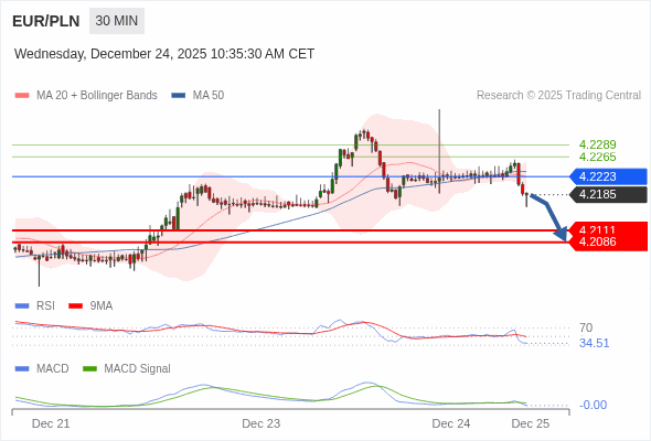 การกำหนดค่าเป็นลบ