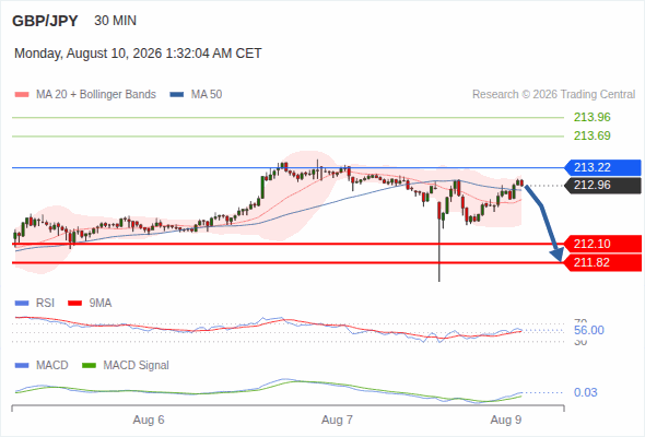 The downside prevails as long as 213.22 is resistance, with 212.10 and 211.82 as targets
