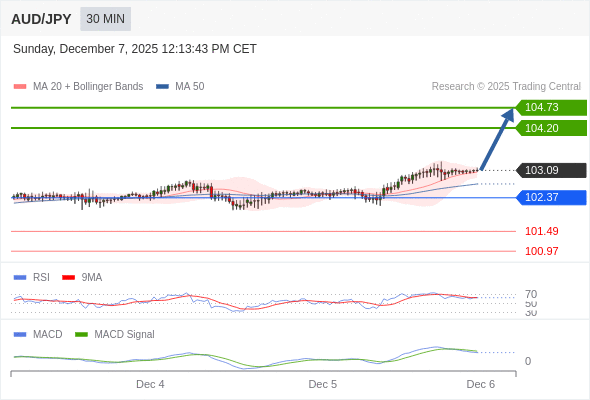 看涨,当 102.37 为支撑位,目标定在104.73。