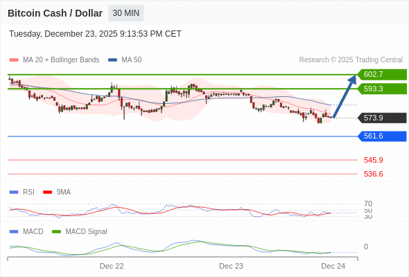 Técnicamente, el índice de fuerza relativa (RSI) se encuentra por debajo de su zona de neutralidad de 50.