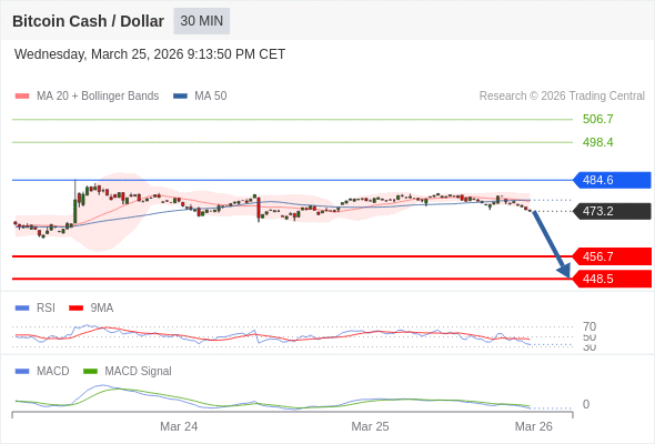 Our preference: the downside prevails as long as 484.6 is resistance.