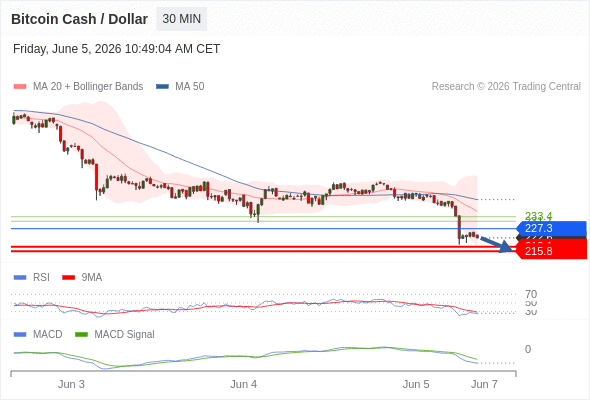Our preference: the downside prevails as long as 227.3 is resistance.