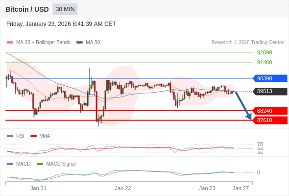 Técnicamente, el índice de fuerza relativa (RSI) se encuentra por debajo de su zona de neutralidad de 50.