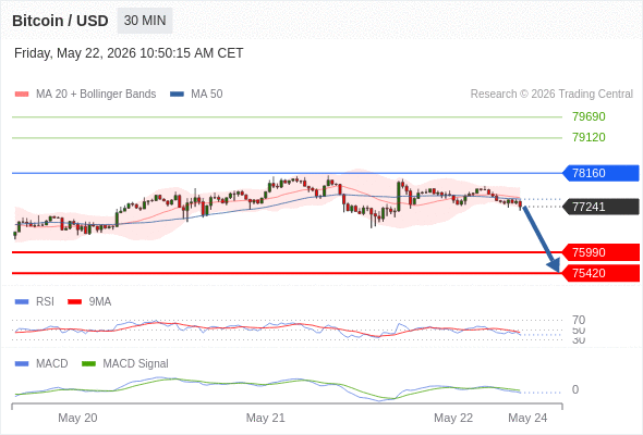 Our preference: the downside prevails as long as 78160 is resistance.