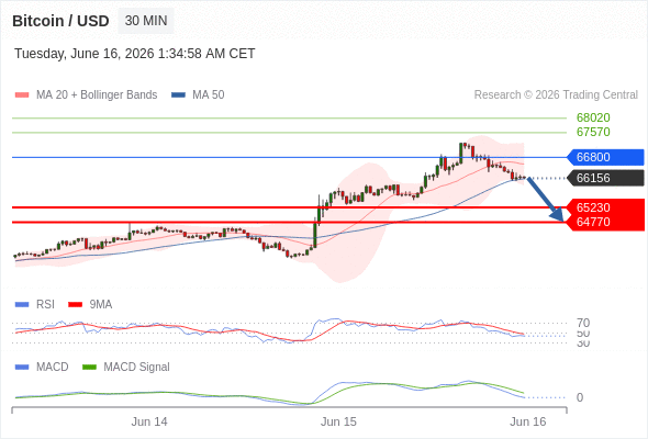 Our preference: target 64770.
