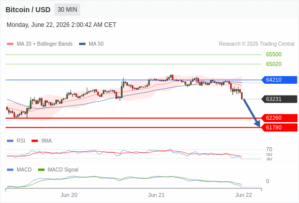 Our preference: the downside prevails as long as 64210 is resistance.