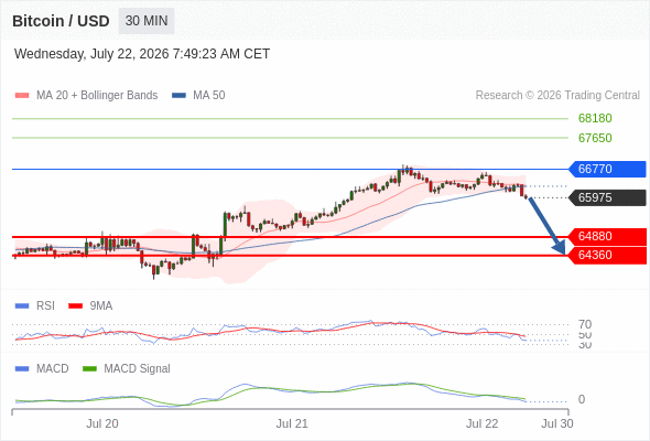 Our preference: the downside prevails as long as 66770 is resistance.