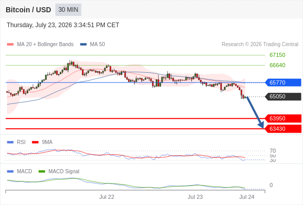 Our preference: the downside prevails as long as 65770 is resistance.