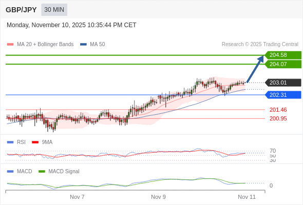 看涨，当 202.31 为支撑位。