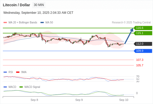 Litecoin / Dollar