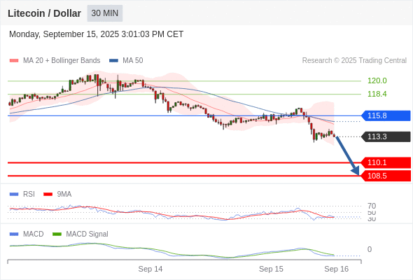 Litecoin / Dollar