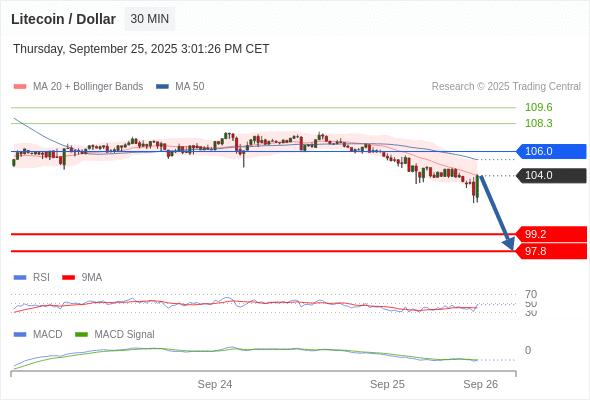 Our preference: the downside prevails as long as 106 is resistance.
