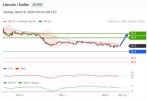 短期反彈至 55.6。