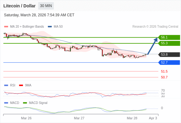 hồi phục ngắn hạn.