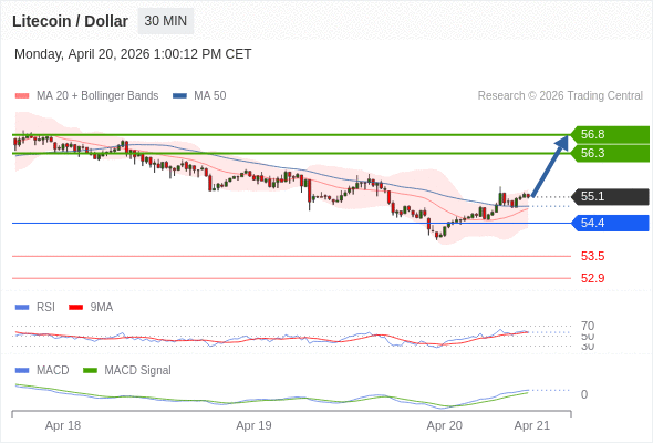 Técnicamente, el índice de fuerza relativa (RSI) se encuentra por encima de su zona de neutralidad de 50.