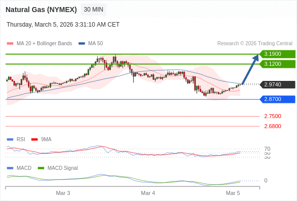 Natural Gas (NYMEX) may rise to 3.1200 - 3.1900.
