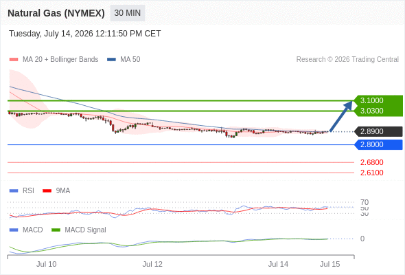Our preference: our next up target stands at 3.1000.